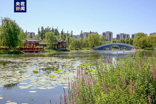北京十年綠色奇跡 城市綠化面積相當(dāng)于219個(gè)奧林匹克森林公園