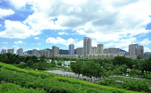 環(huán)衛(wèi)綠化一體化運(yùn)營(yíng) 讓城市園林綠化管理更系統(tǒng)、更精細(xì)