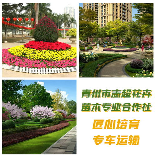 城市綠化建設(shè)與管理的生態(tài)哲學(xué) 從“大量供應(yīng)”到“可持續(xù)發(fā)展”
